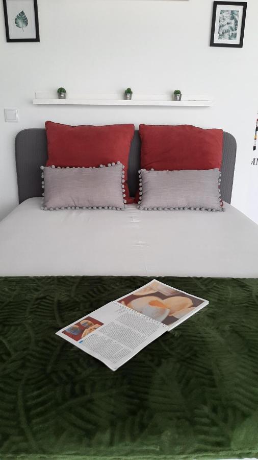 Love' In Aveiro Apartments - Blanc Eksteriør billede